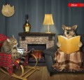 Sprawdzi się w każdym domu