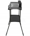 ZLN3789 NEW 10.jpg